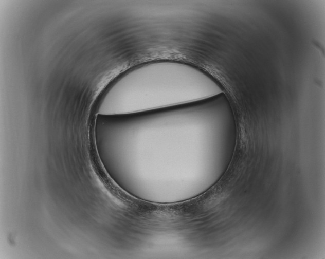 X0000101650630200807100941