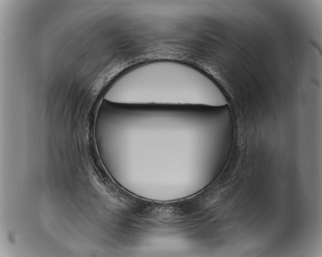 X0000101650631200807100941