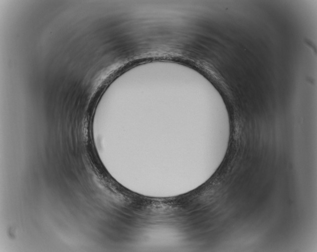 X0000101650632200807100941