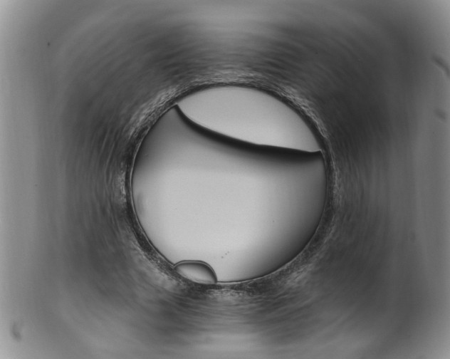 X0000101650633200807100941