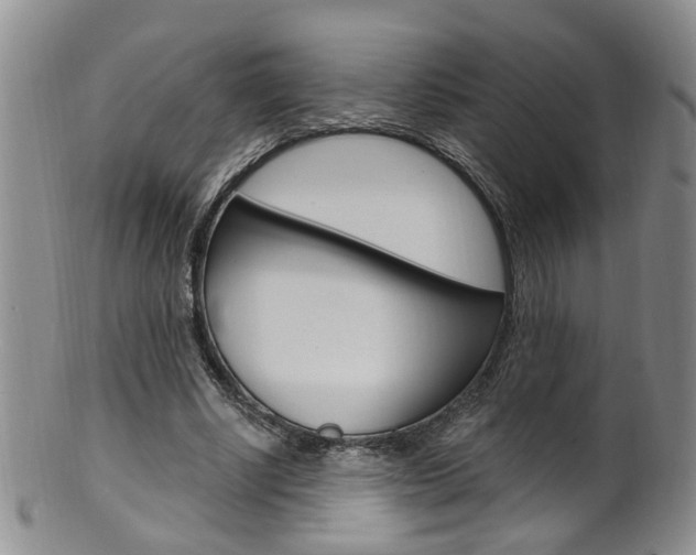 X0000101650634200807100941
