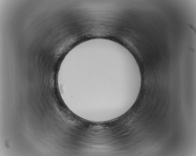 X0000101650635200807100941