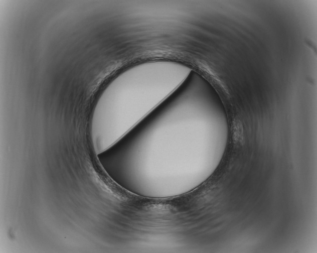 X0000101650637200807100941