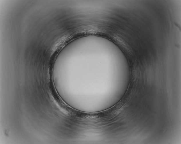 X0000101650638200807100941