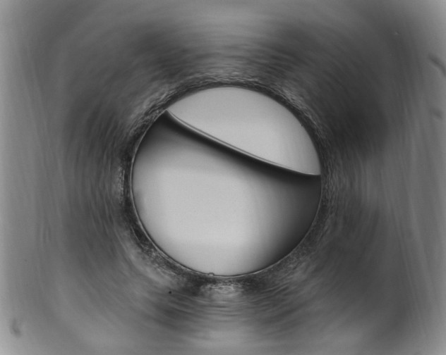 X0000101650639200807100941