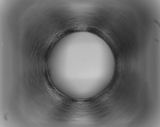 X0000101650641200807100941