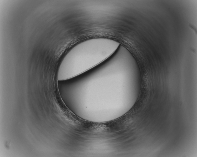 X0000101650642200807100941