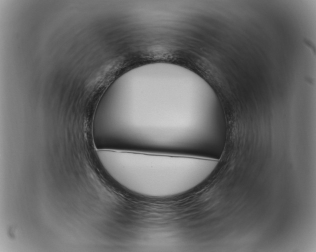 X0000101650643200807100941