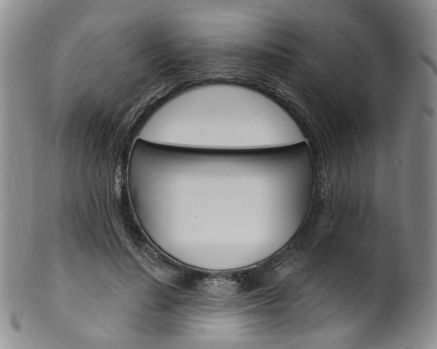X0000101650644200807100941
