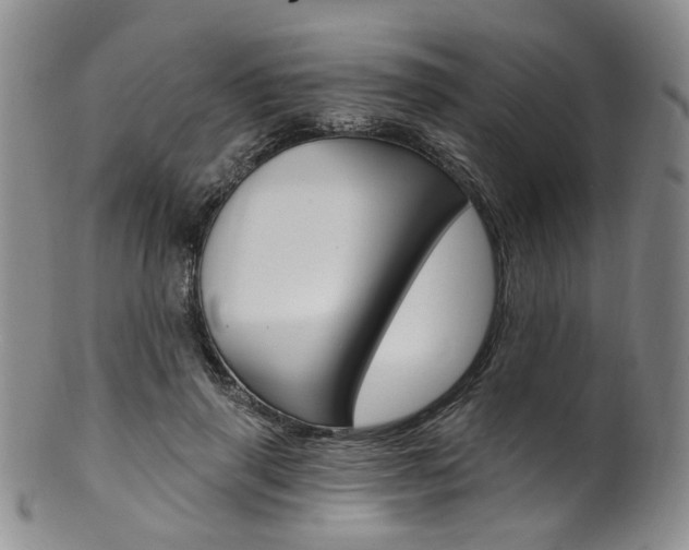 X0000101650645200807100941