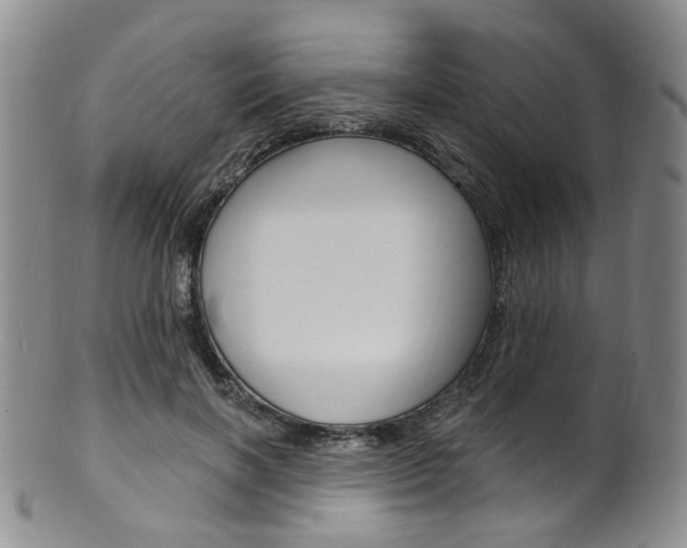 X0000101650646200807100941