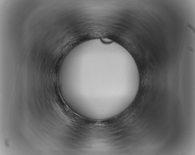 X0000101650647200807100941
