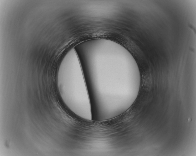 X0000101650648200807100941