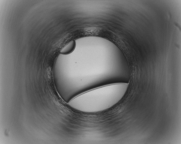 X0000101650649200807100941