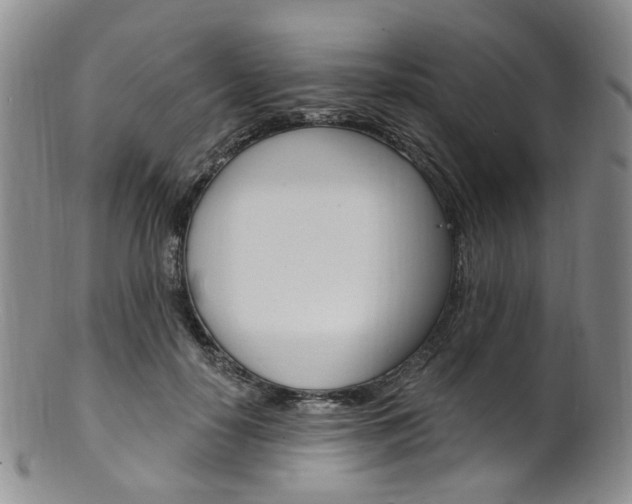 X0000101650650200807100941