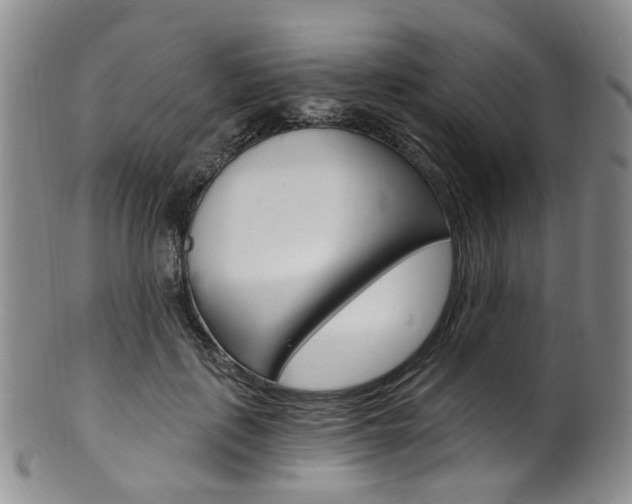 X0000101650651200807100941