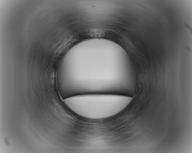 X0000101650652200807100941