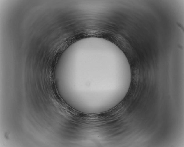 X0000101650653200807100941