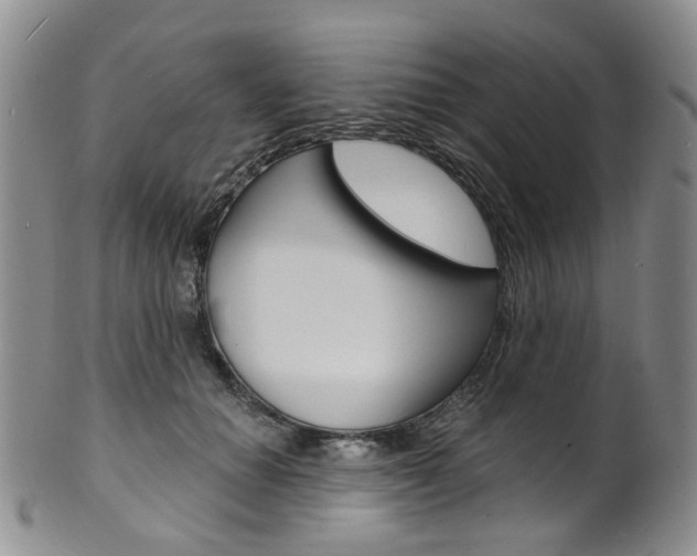 X0000101650654200807100941