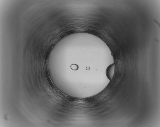 X0000101650655200807100941