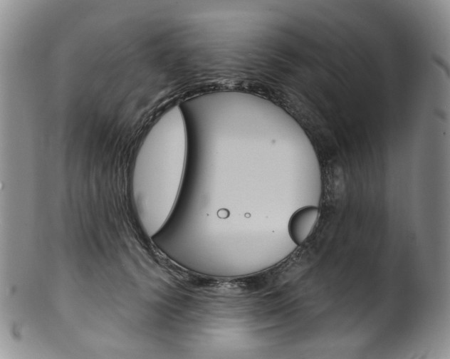 X0000101650656200807100941