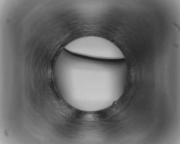 X0000101650657200807100941