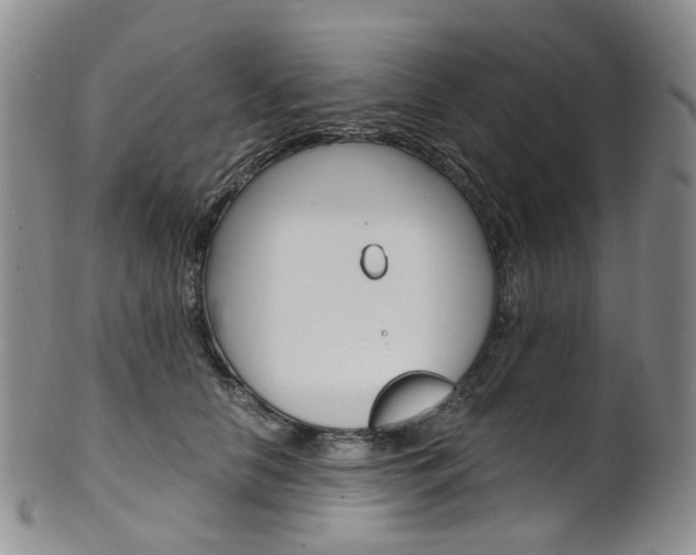 X0000101650658200807100941