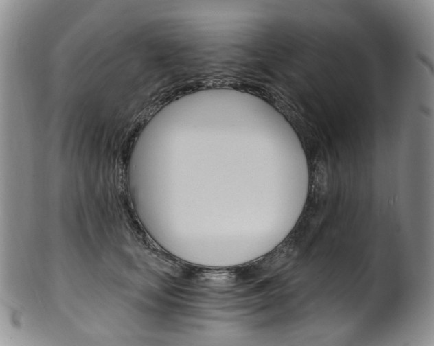 X0000101650659200807100941