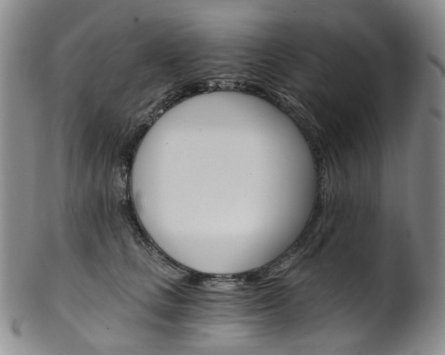X0000101650661200807100941