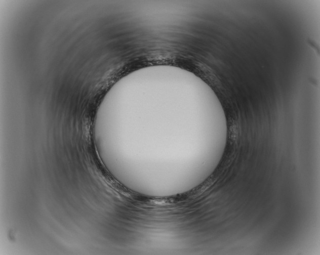 X0000101650662200807100941