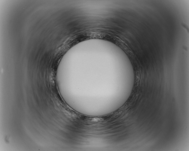 X0000101650663200807100941