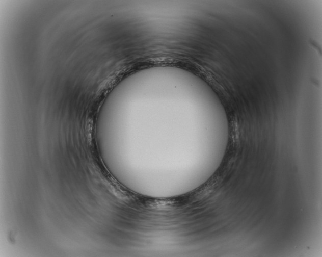X0000101650664200807100941