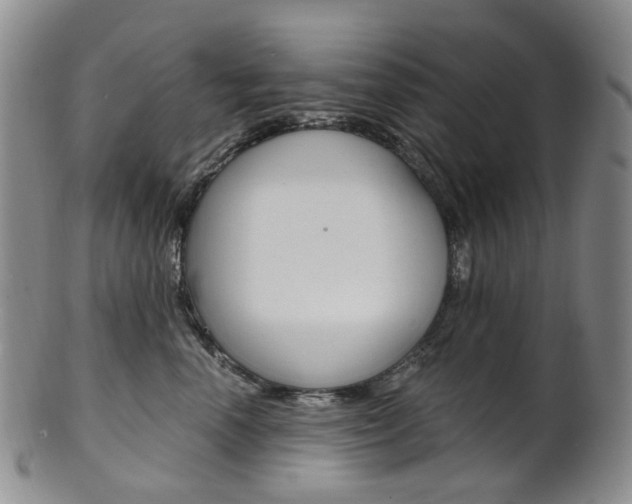 X0000101650666200807100941