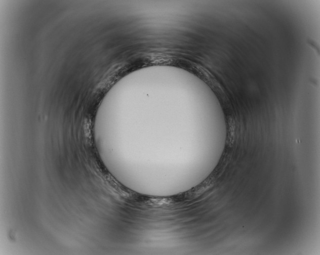 X0000101650667200807100941
