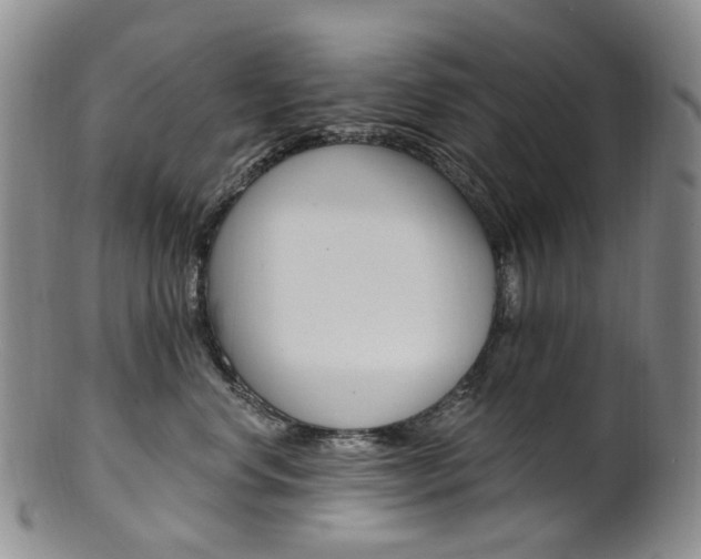 X0000101650668200807100941