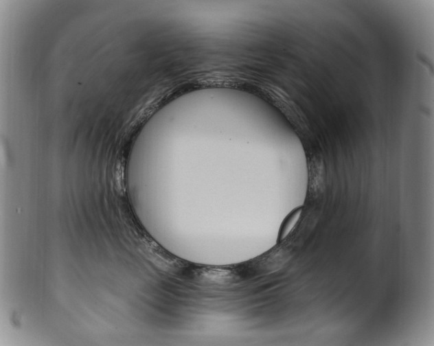 X0000101650669200807100941