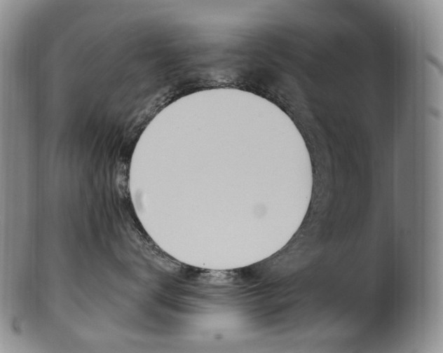 X0000101650672200807100941