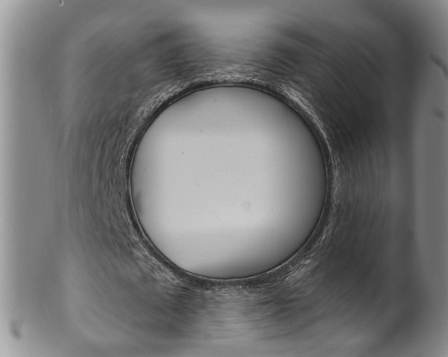 X0000101650673200807100941