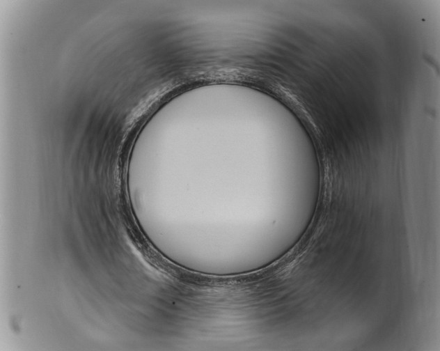 X0000101650674200807100941