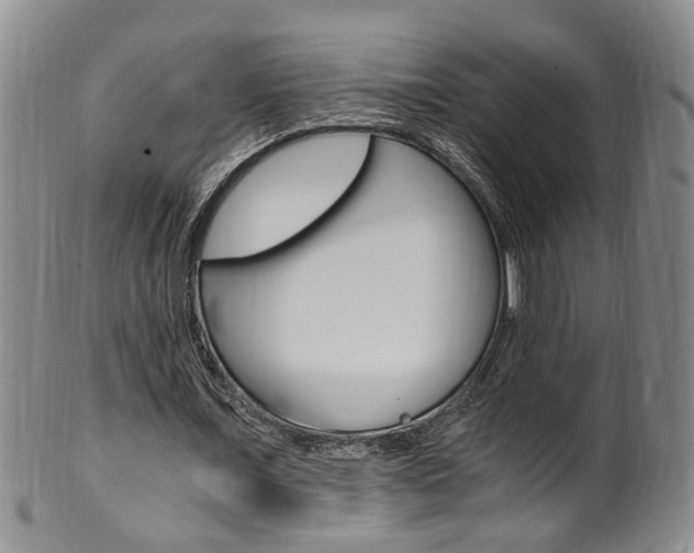 X0000101650675200807100941