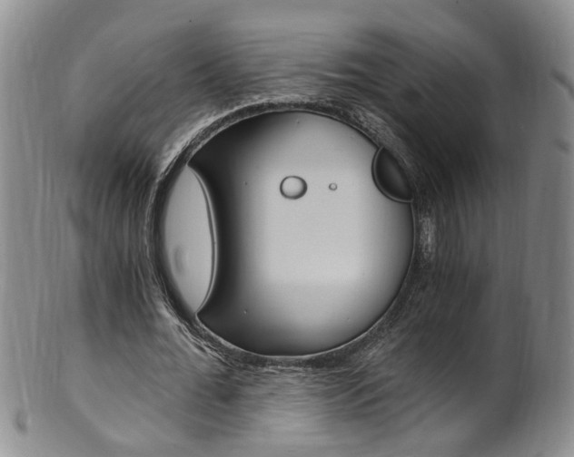 X0000101650676200807100941