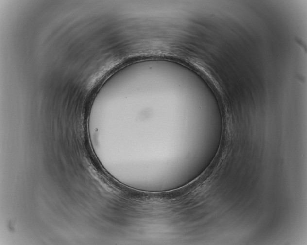 X0000101650677200807100941