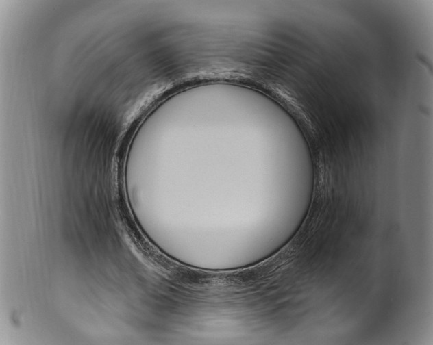 X0000101650678200807100941