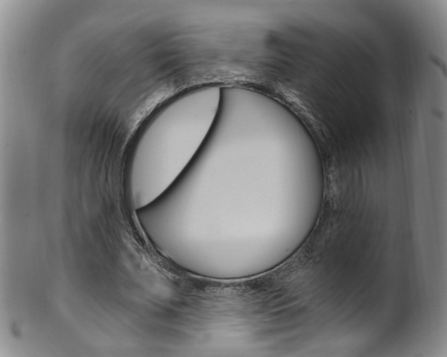 X0000101650679200807100941