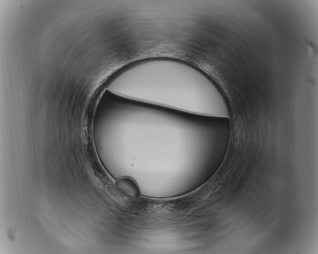 X0000101650680200807100941