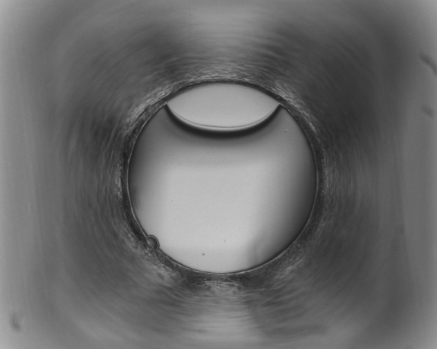 X0000101650681200807100941