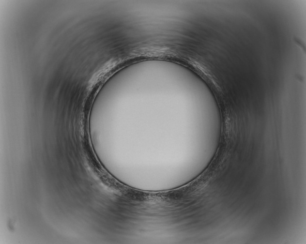 X0000101650682200807100941