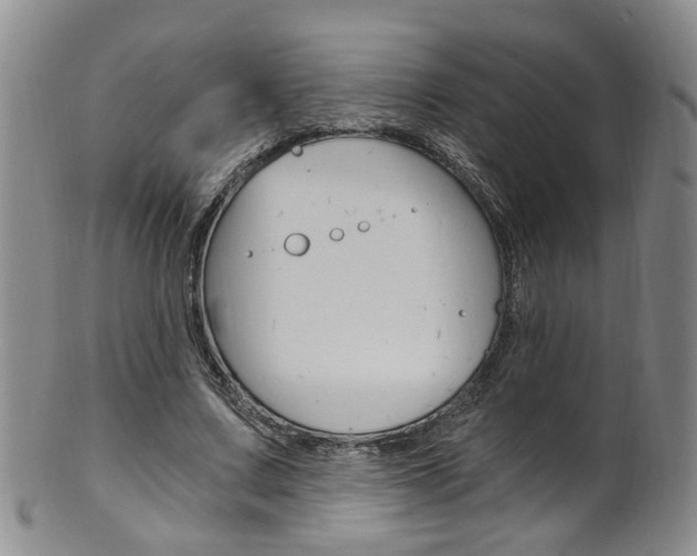 X0000101650683200807100941