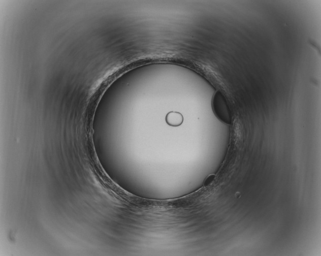 X0000101650684200807100941