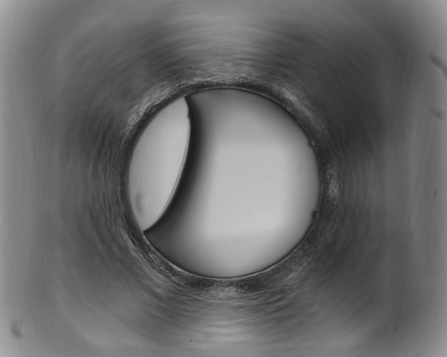 X0000101650685200807100940
